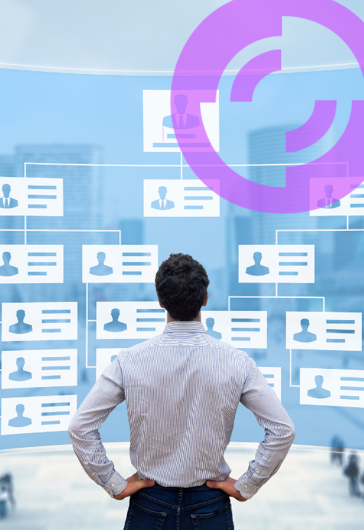 Organograma e a Estrutura Organizacional